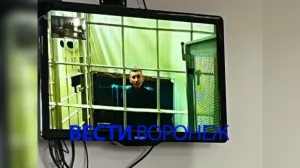 Суд в Воронеже оставил в силе приговор Гусеву в 9 лет колонии