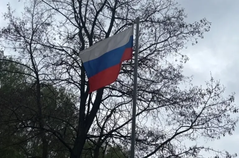 Трое воронежцев получили благодарности президента