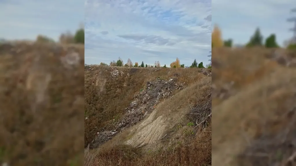 Жители Семилук пожаловались на растущую свалку на городском кладбище