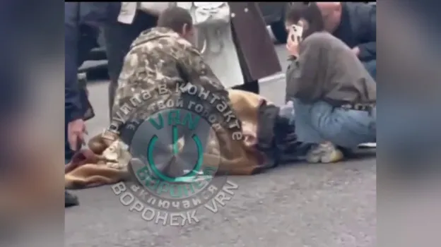 В Воронеже «Нива» сбила 11-летнюю девочку на зебре у рынка