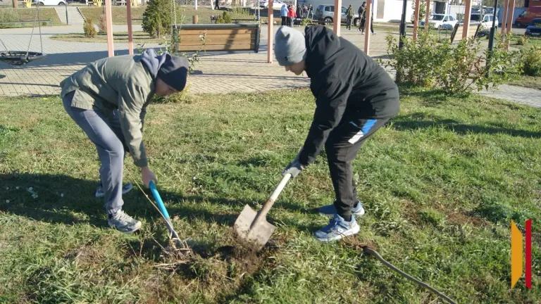 В Воробьевке высадили более 90 деревьев и кустарников