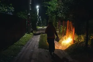 В Воронежской области за неделю пропали 29 человек