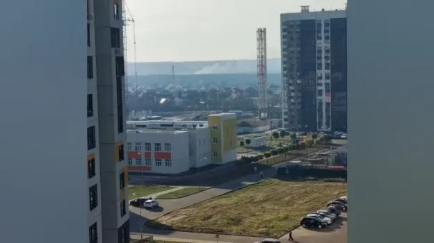 Под Воронежем загорелся камыш: жители Шилово увидели дым