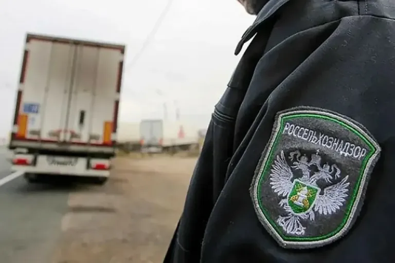 В Калачеевском районе остановили грузовик с 882 кг свинины